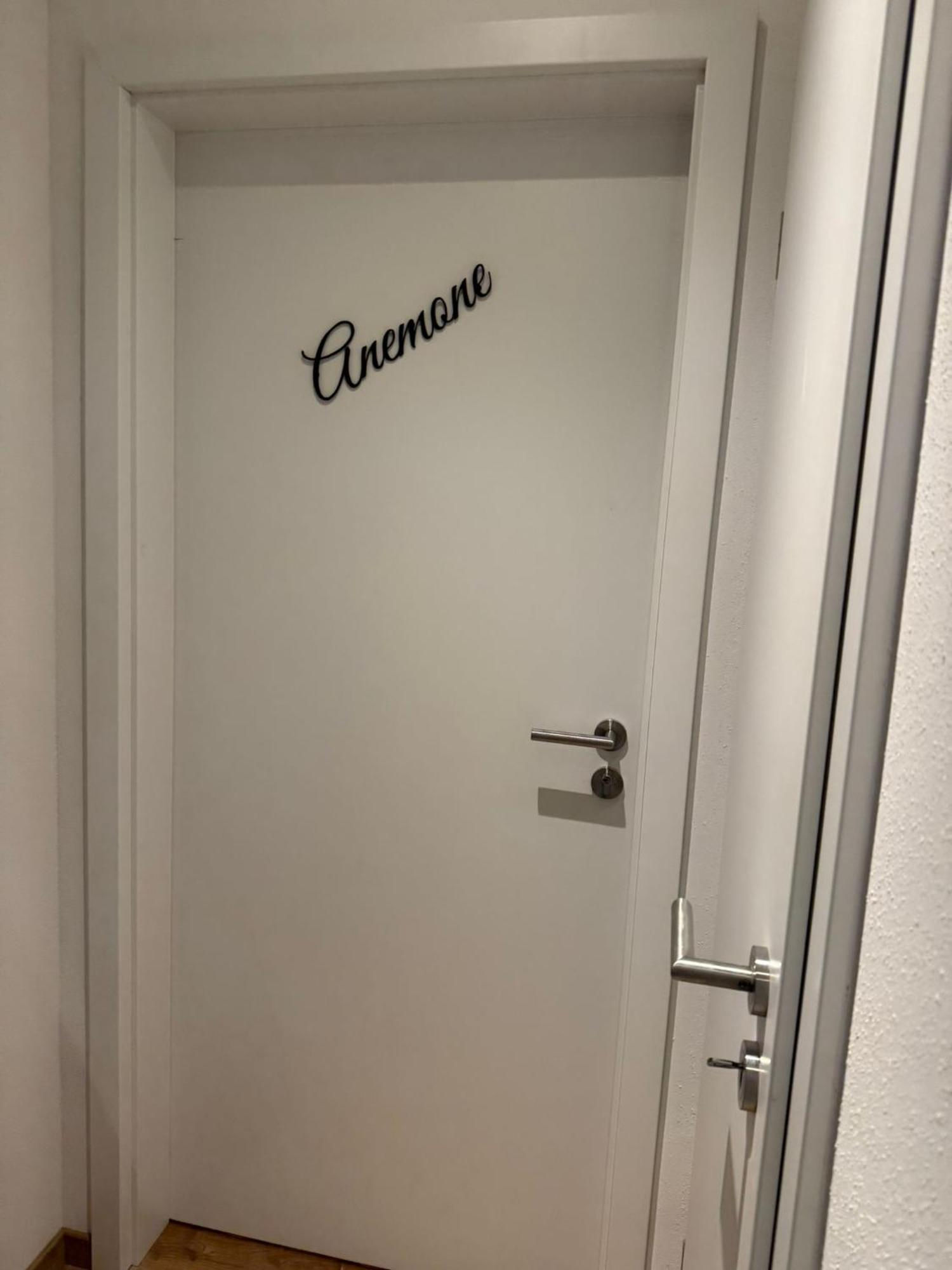 인젤 Haus Schwalbennest 아파트 외부 사진